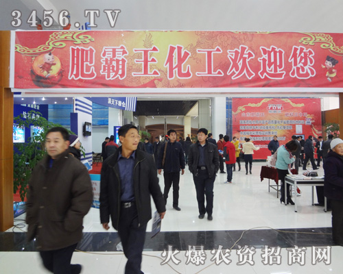 肥霸王化工有限公司