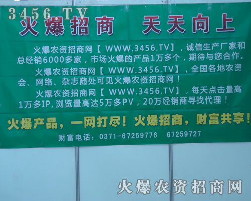 ������ ��������