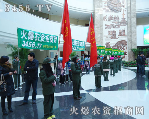 �𱬴�M���������������Ǹ�