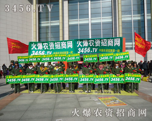 ������������ƽ��