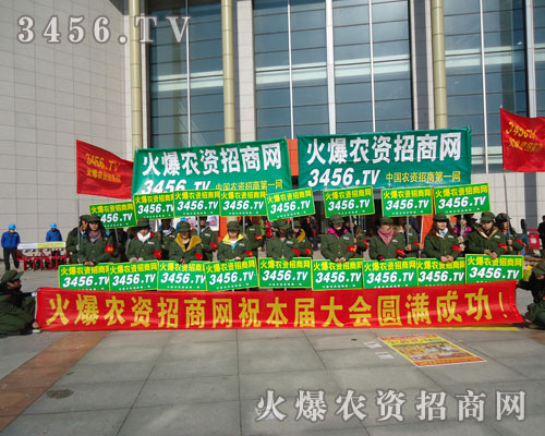 ����Цӭǰ·