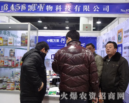 ɽ�|�ЄP����Ƽ�