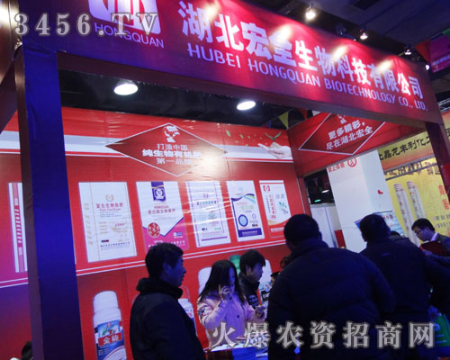 ������ȫ����