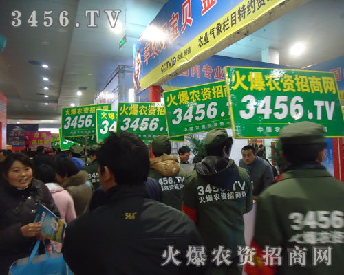 橫看成嶺側(cè)成峰,如標(biāo)槍般聳立的火爆人