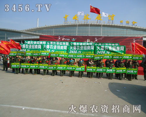 �������҂�һ�R�������������҂�Ӣ���Sˬ