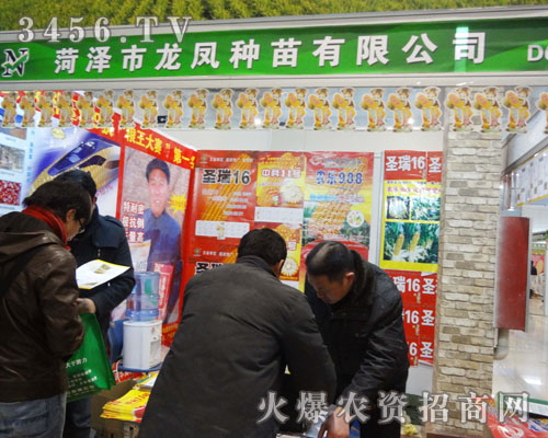 �ʝ������P�N�����޹�˾