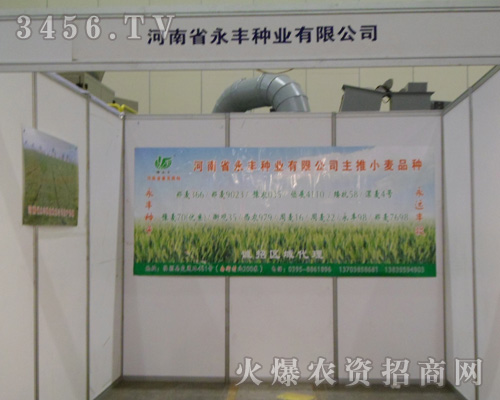 河南省永豐種業(yè)有限公司