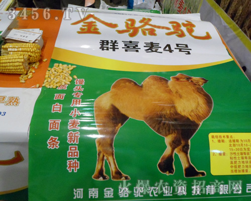 河南金駱駝農(nóng)業(yè)科技有限公司