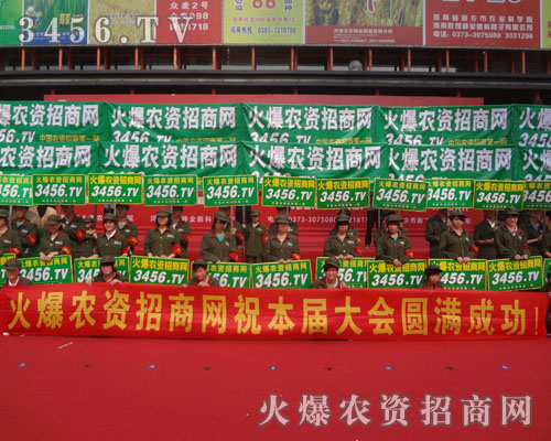 �𱬈F꠰l(f��)�P��Ӣ���B���đ�(zh��n)�����L(f��ng)