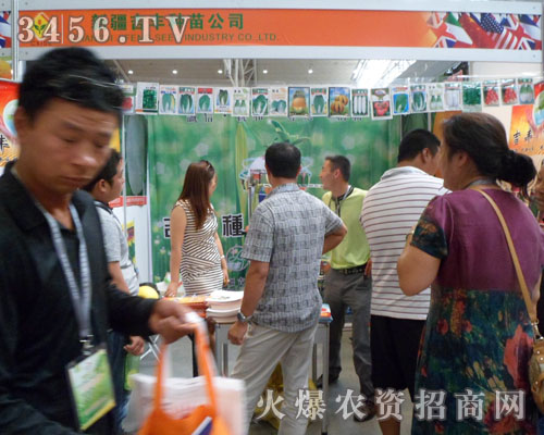 新疆吉豐種苗有限責(zé)任公司1