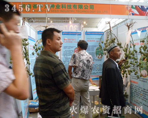 河南省中天種業(yè)科技有限公司