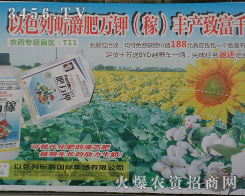 以色列昕爵集團()