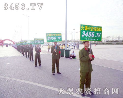 ������ľGɫ܊�b�������