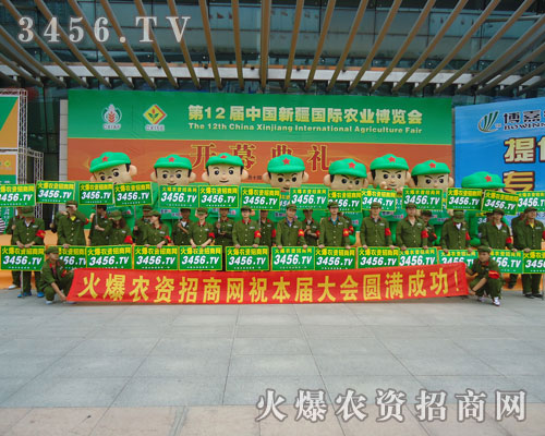 �õĠ�B(t��i)���������ƏV