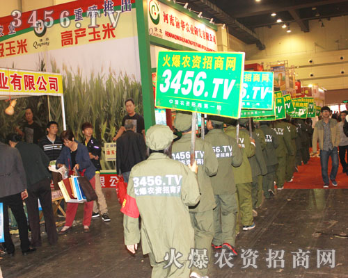 �͑���Ч�����҂���������