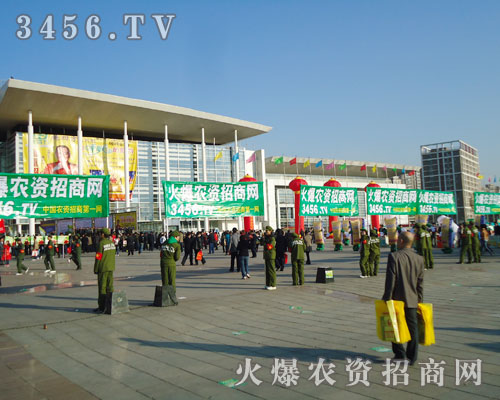 �oՓ�ߵ�������r(n��ng)�Y�W(w��ng)����ɢ�l(f��)�����˵Ĺ�â