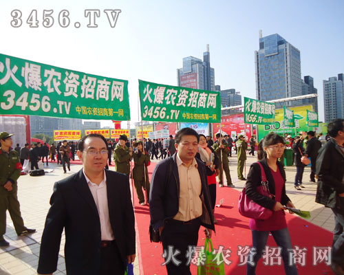 ɽ�|ֲ����(hu��)�����𱬾W(w��ng)����(chu��ng)�º��_���M(j��n)�е���