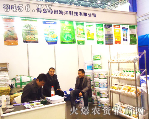 青島鯨靈海洋科技有限公司