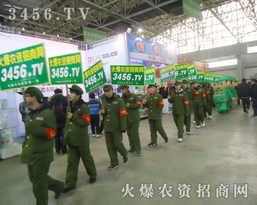 �ӱ�ֲ�����ϵ�̎��Ҋ���r(n��ng)�Y���̾W(w��ng)�ľGɫ܊�F����Ӱ