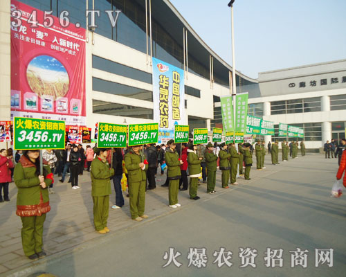 ��ÿ���r(n��ng)�Y������������һ֧ҫ�۵�������������������˵�Ŀ��