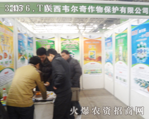 2013�ӱ�ֲ����������f����e�O��չ��