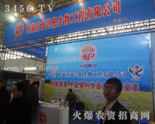 �d��������2013�ӱ�ֲ���p����������������