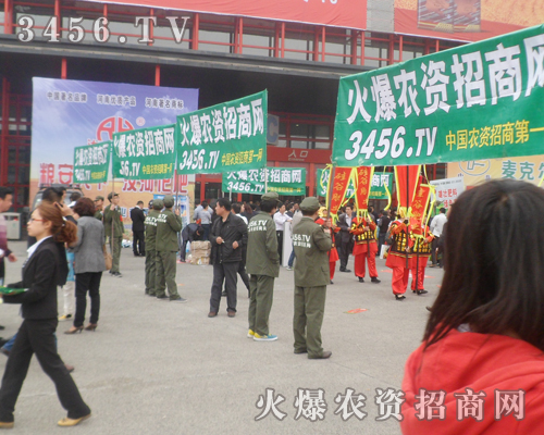 �����̾W��2013���ݷ����p�����^��ƴ����