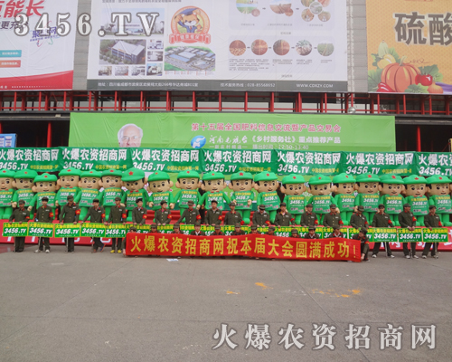 �r(n��ng)�Y�W(w��ng)վ���p������������p�����ϸɄ�ʮ����