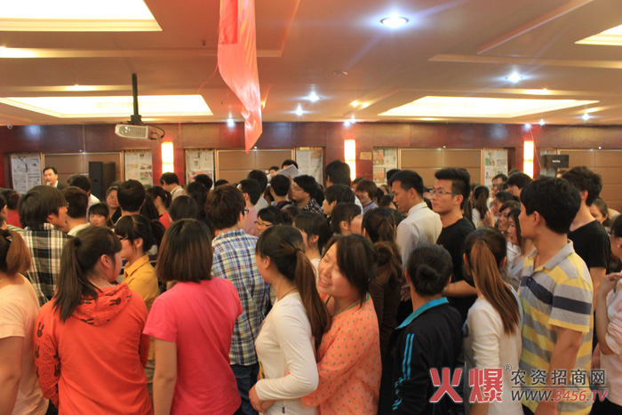 團(tuán)隊(duì)分配