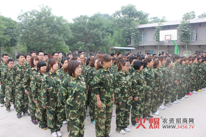 組建團(tuán)隊(duì)