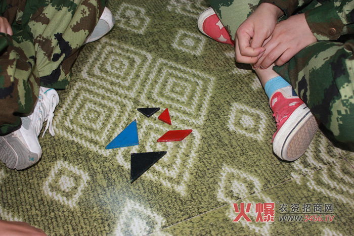 牧羊犬活動環(huán)節(jié)