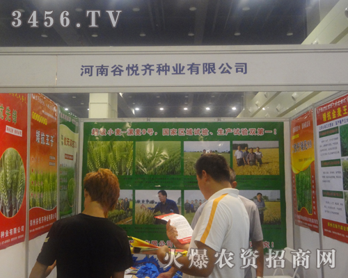 河南谷悅齊種業(yè)在2013夏季種子會上一絲不茍