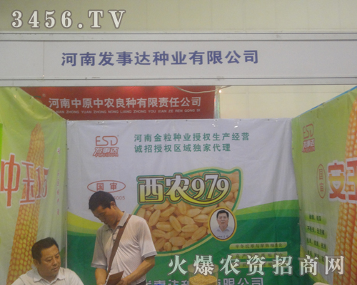 ���ϰl(f��)���_(d��)�N�I(y��)�����ݷN���p����(hu��)�����p��