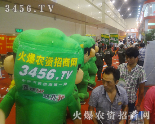 ���л��r(n��ng)�Y���̾W(w��ng)�����F(tu��n)�(du��)�ľGɫ��Ӱ