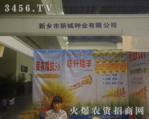 ���l(xi��ng)���³ǷN�I(y��)���޹�˾��2013���������߲˷N�ӕ�(hu��)������