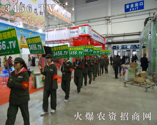 �S���p�p���M�|��ʡ���ϕ������r(n��ng)�Y�W(w��ng)ǰ�M