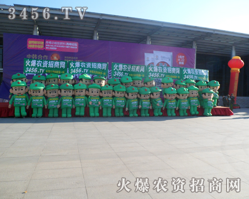 2013�|�����ϕ�������(ji��n)�������������������������