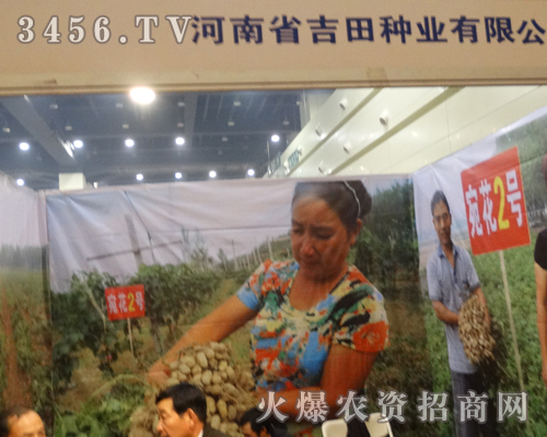 ����N�I(y��)ʢ�b��չ2013�����＾�N�ӕ�(hu��)