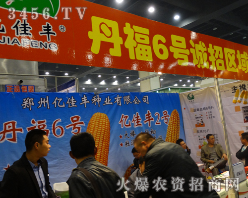 �|���S�N�I(y��)�����ݷN�ӕ�(hu��)������