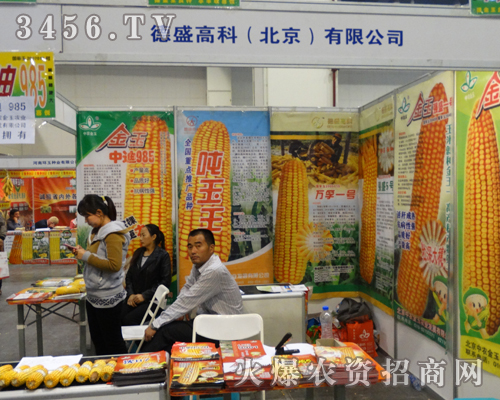 ��ʢ�߿ƣ�����������2013�����＾�N�ӕ�(hu��)