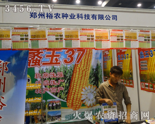 ����ԣ�r(n��ng)���㹲��2013���ϷN�ӕ�