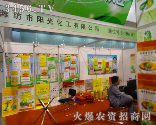 ꖹ⻯����2013�׏�(f��)�ʕ��挦�͑���������