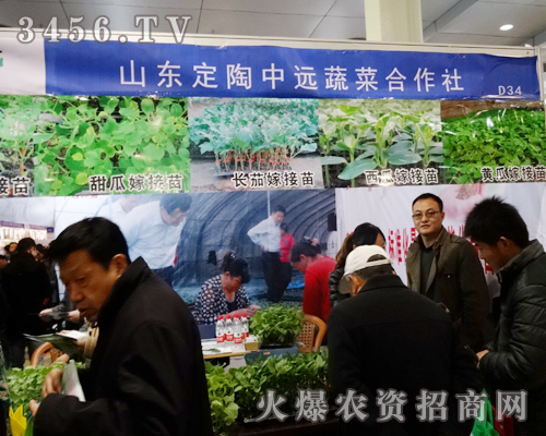 ���_�T��ϲӭ��(j��ng)�N�̿���ɽ�|�������h(yu��n)�߲˺������®a(ch��n)Ʒ