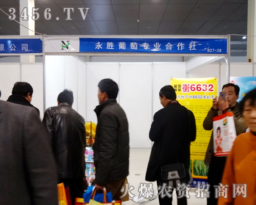 �������Ѻ������ٴ�ӭ��(l��i)�µęC(j��)��