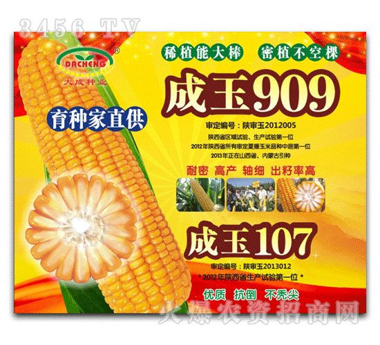 ���-���N��ֱ��909��107