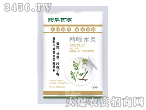 ˎ������-��ˎ������݄�