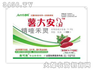 ����-�t���������݄���