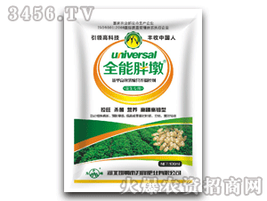 為峰-全能胖墩-花生專用高濃縮營(yíng)養(yǎng)調(diào)控劑