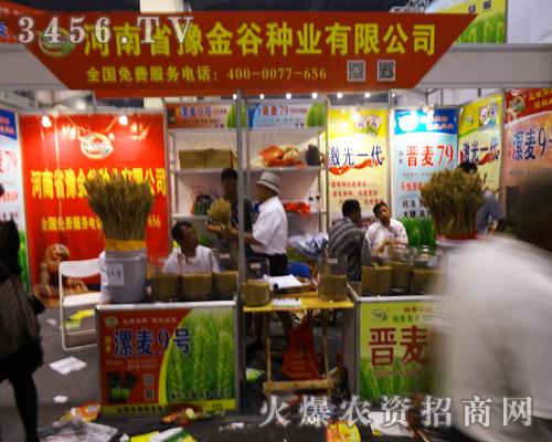 河南省豫金谷種業(yè)在2014鄭州夏季種子會上全力以赴的付出