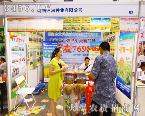 ����ʡ���ӷN�I(y��)�ں������ݷN�ӕ�һչ�L��